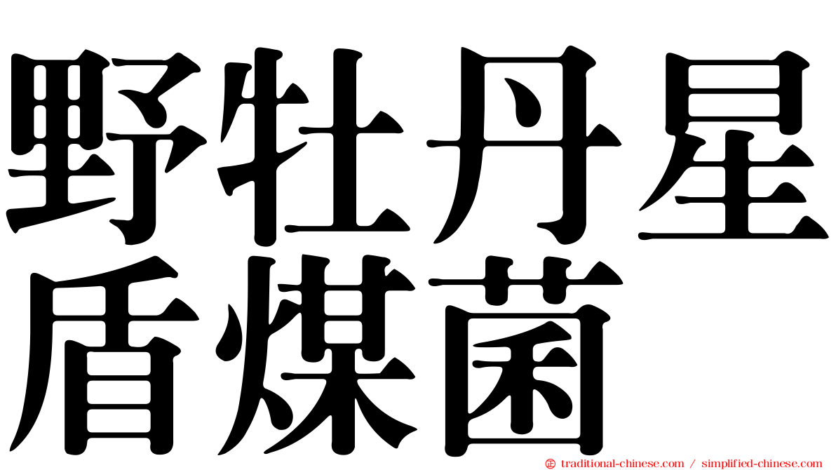野牡丹星盾煤菌