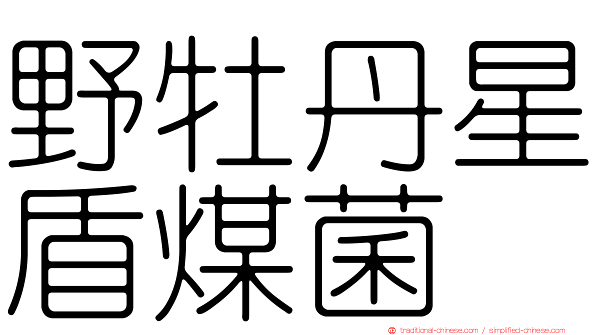 野牡丹星盾煤菌