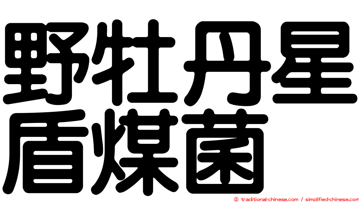 野牡丹星盾煤菌
