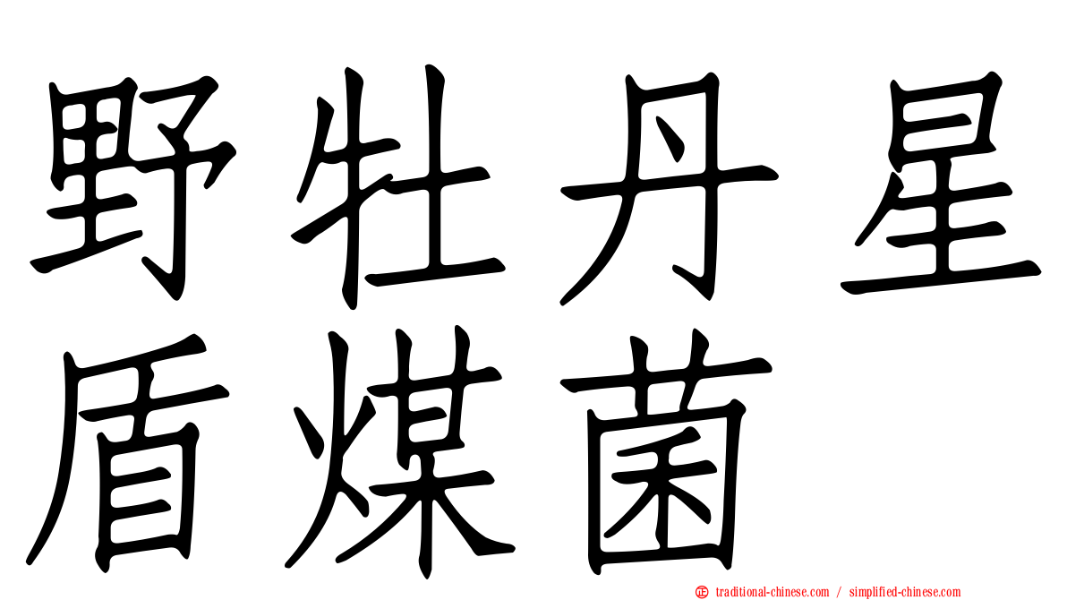 野牡丹星盾煤菌