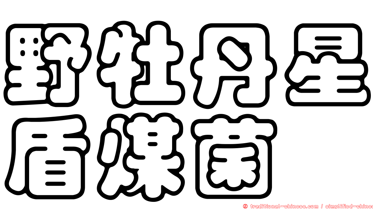野牡丹星盾煤菌