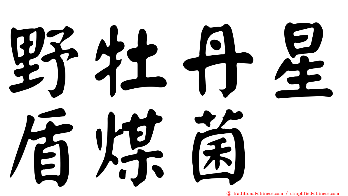 野牡丹星盾煤菌