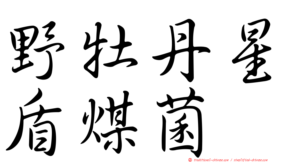 野牡丹星盾煤菌