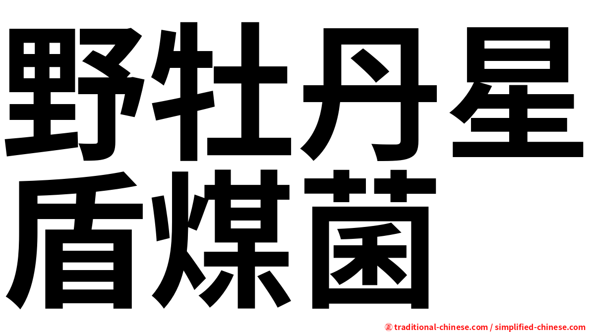野牡丹星盾煤菌