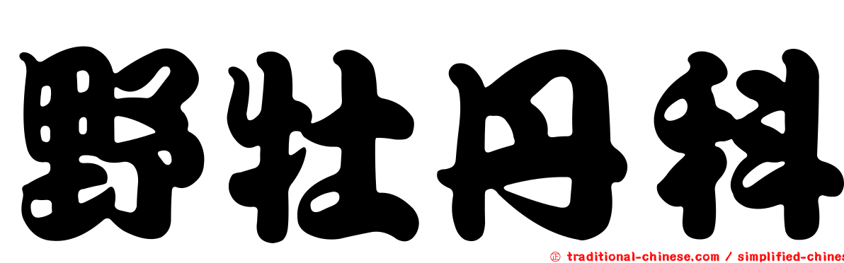 野牡丹科