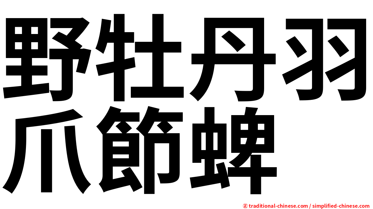野牡丹羽爪節蜱