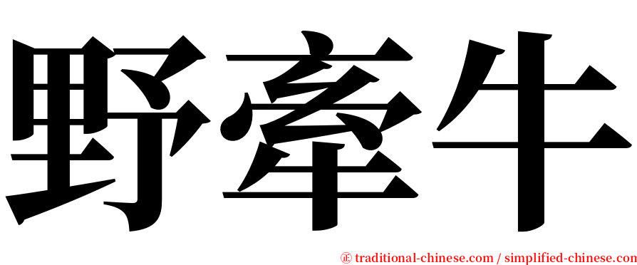 野牽牛 serif font
