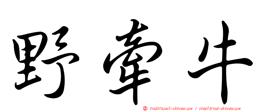 野牽牛