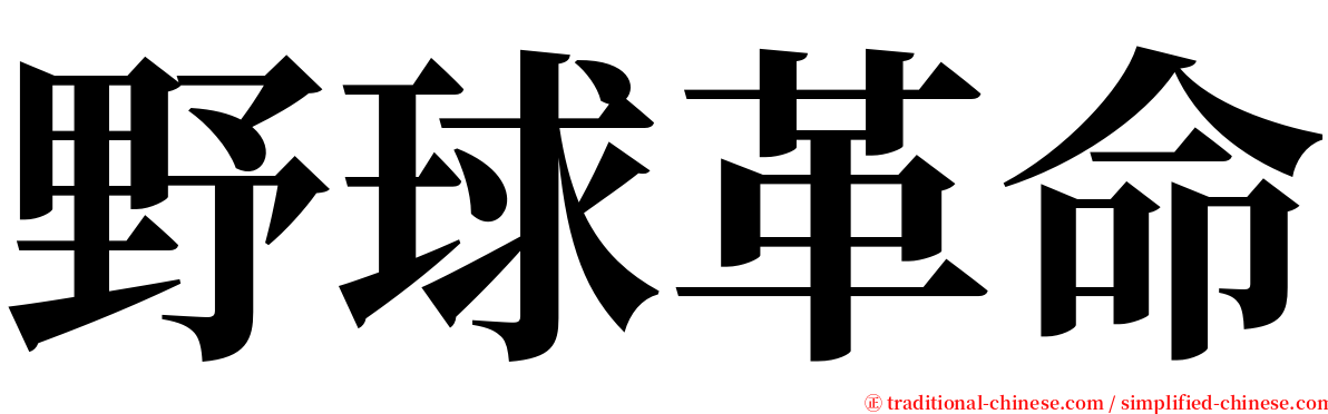 野球革命 serif font