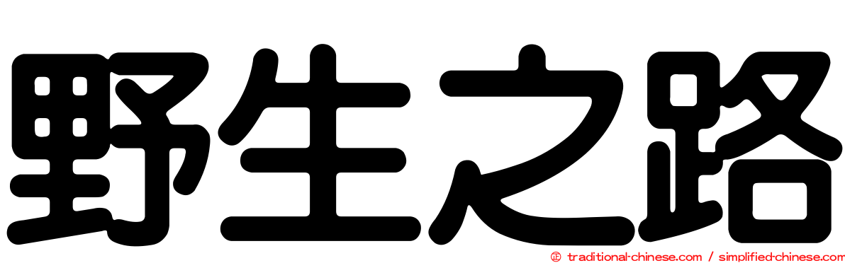 野生之路