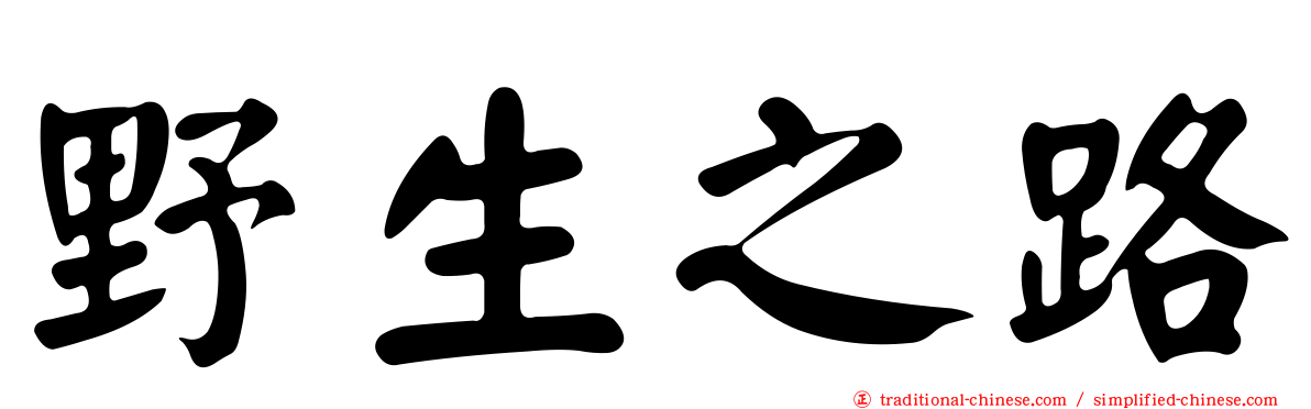 野生之路