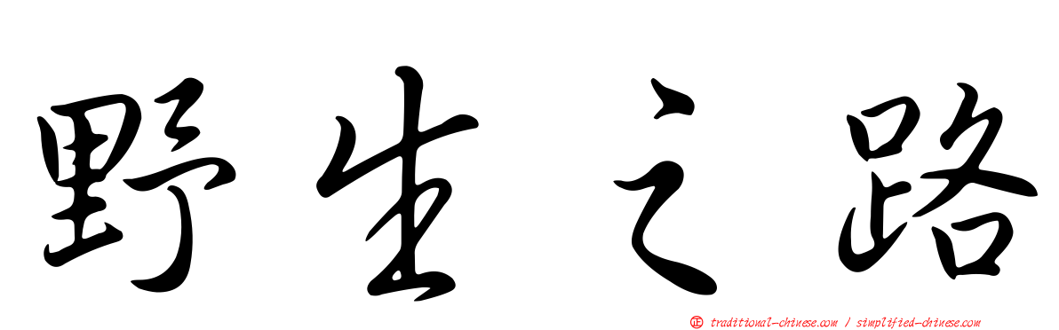 野生之路