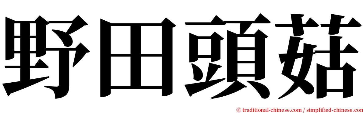 野田頭菇 serif font