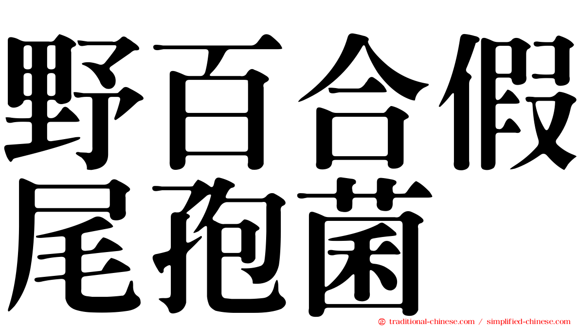 野百合假尾孢菌