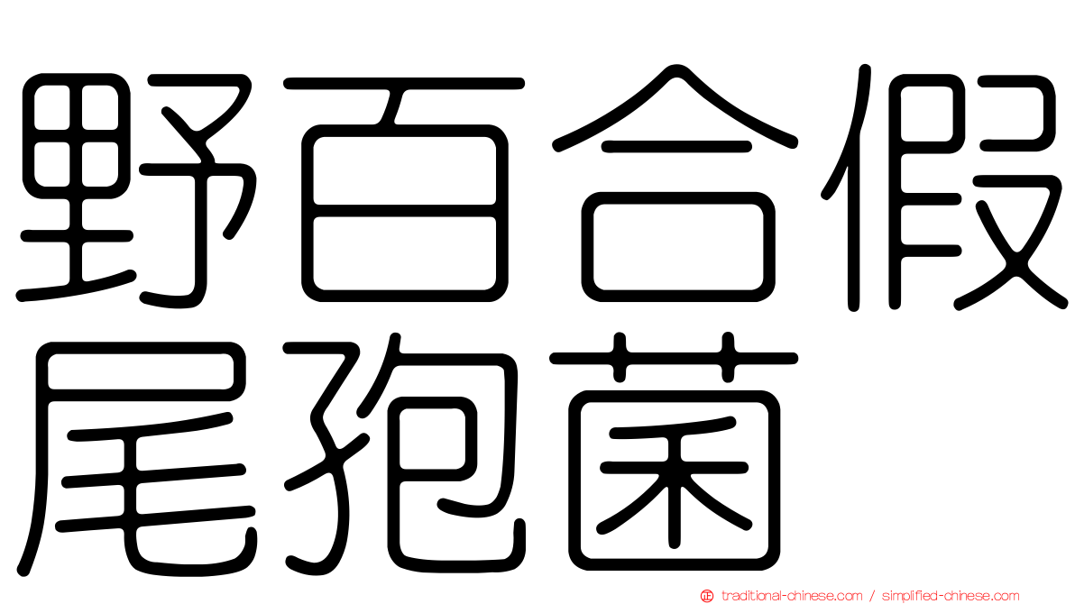 野百合假尾孢菌