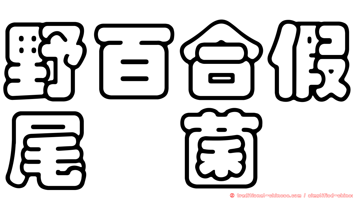 野百合假尾孢菌