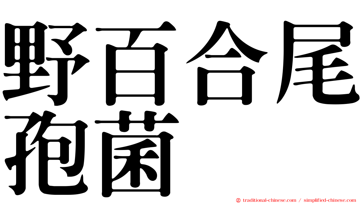 野百合尾孢菌