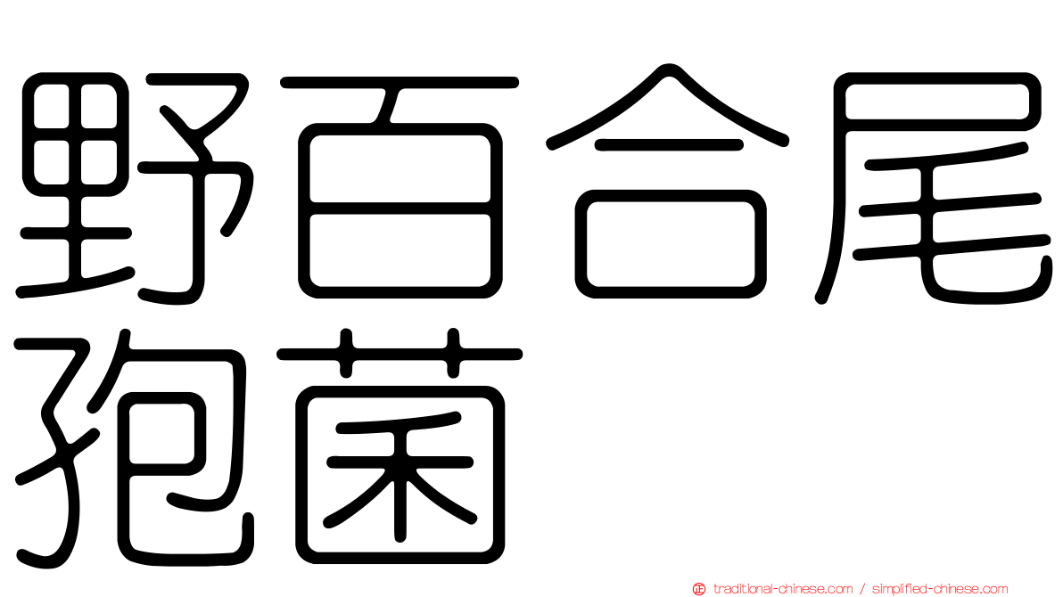 野百合尾孢菌
