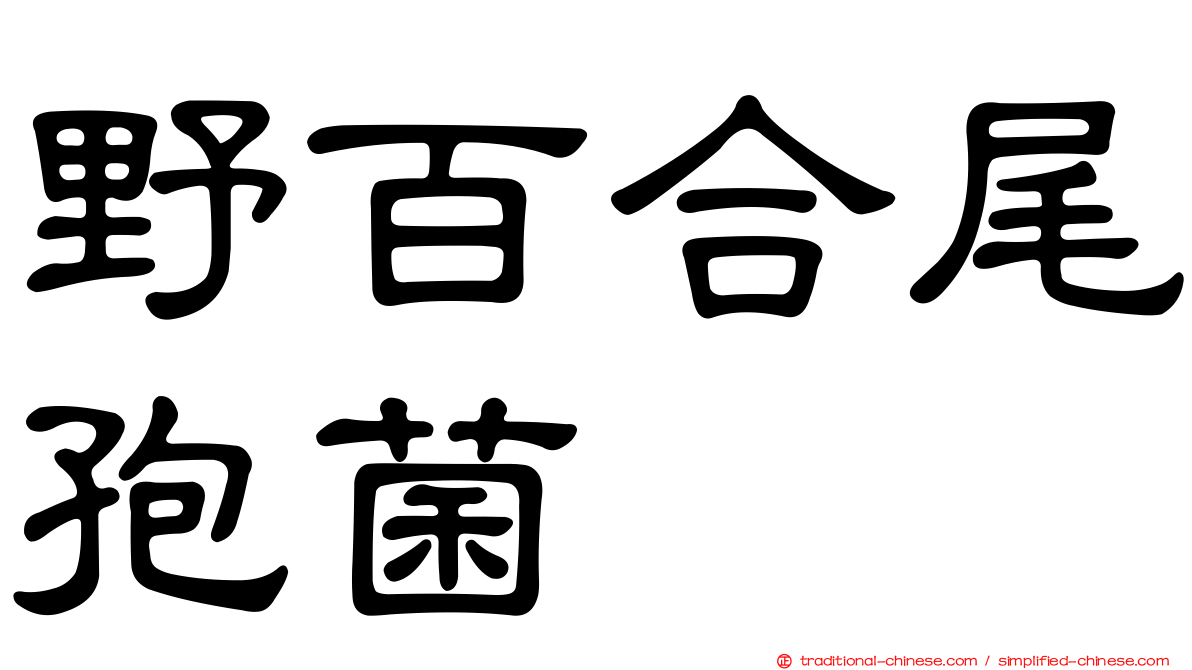 野百合尾孢菌