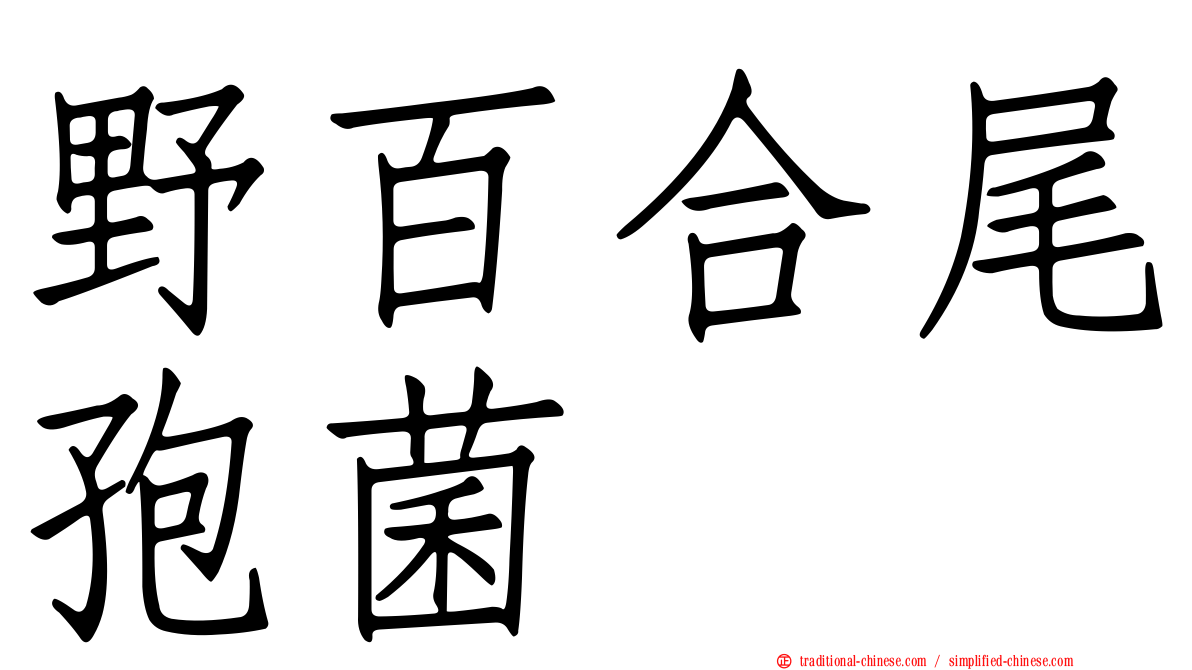 野百合尾孢菌