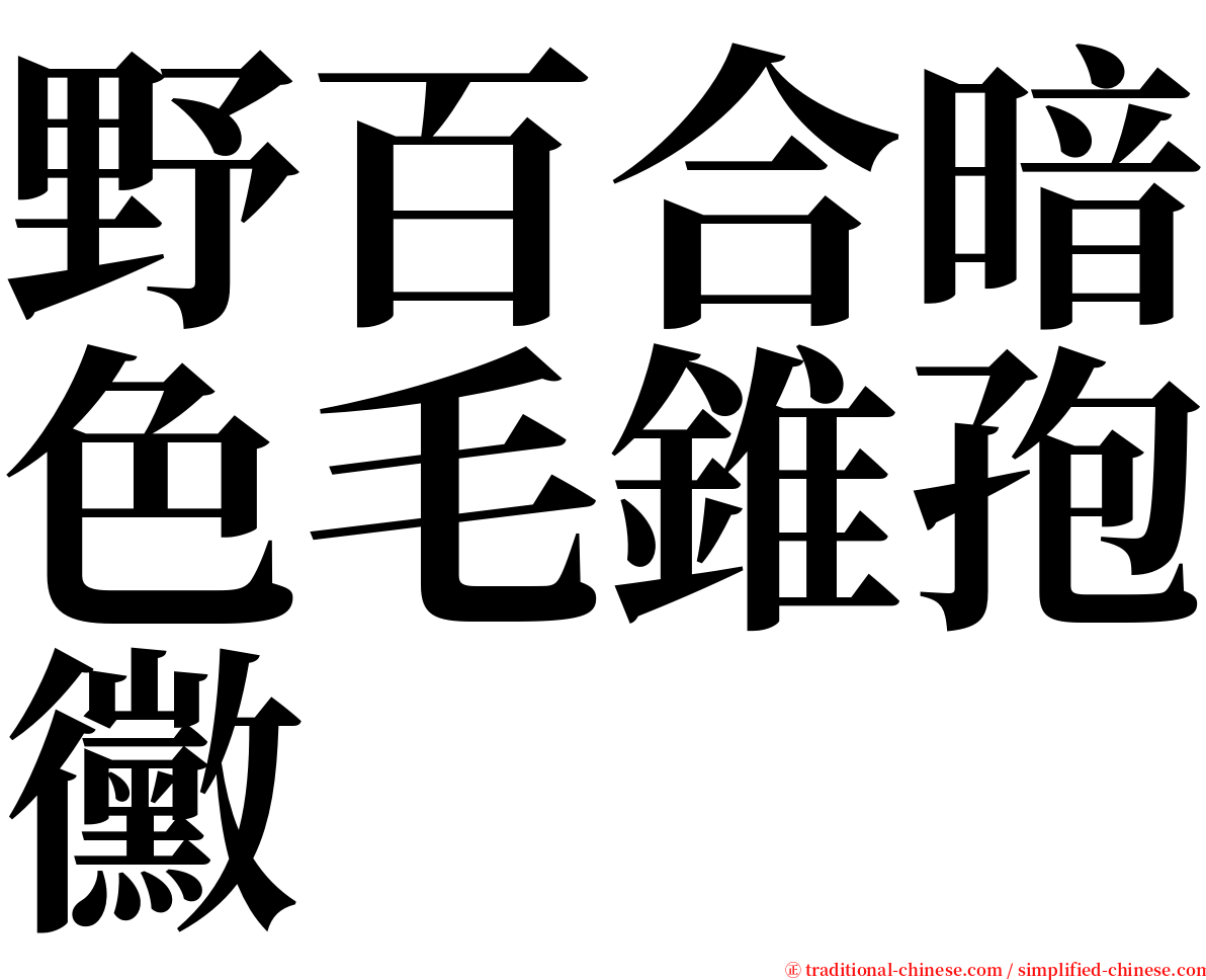 野百合暗色毛錐孢黴 serif font