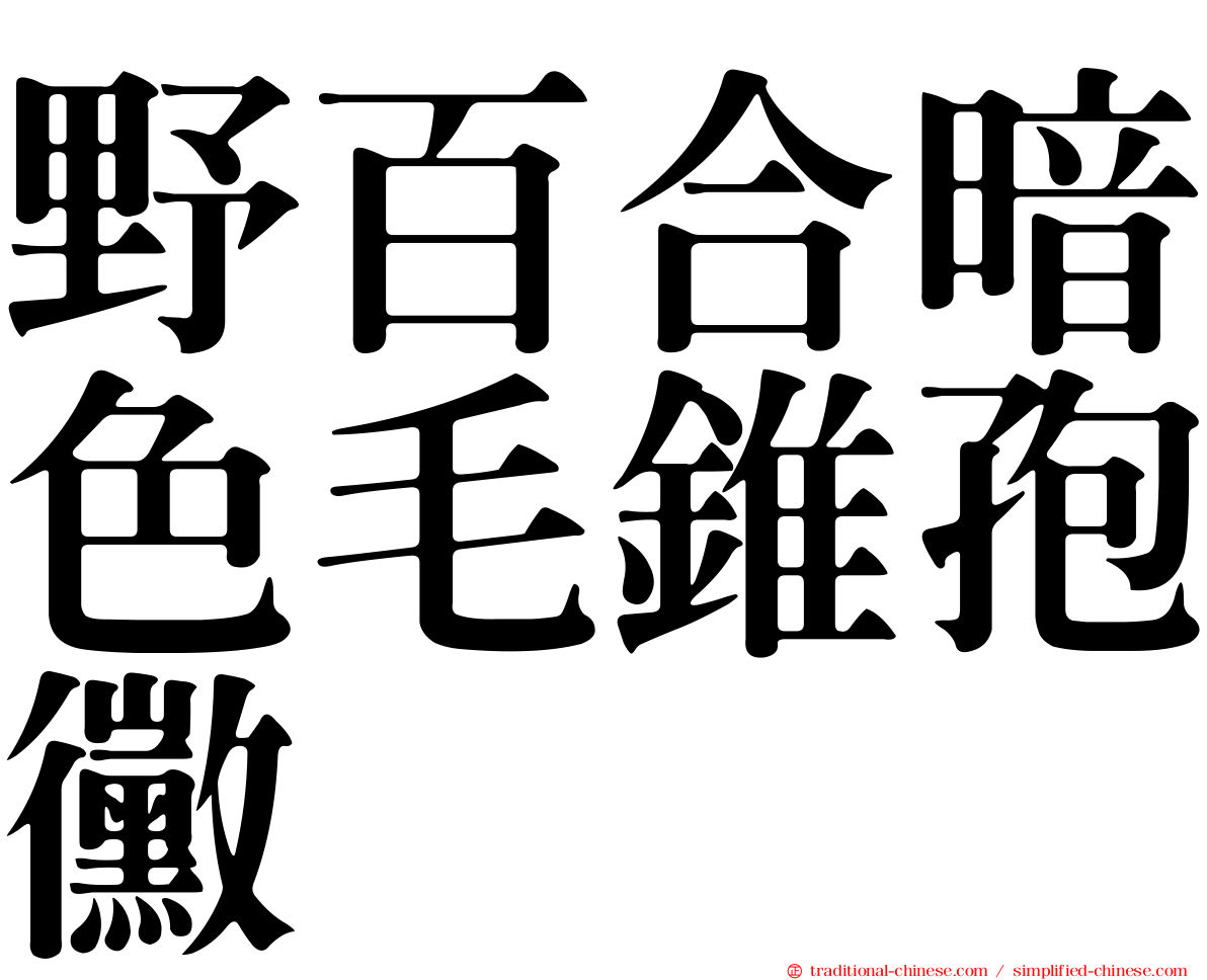 野百合暗色毛錐孢黴