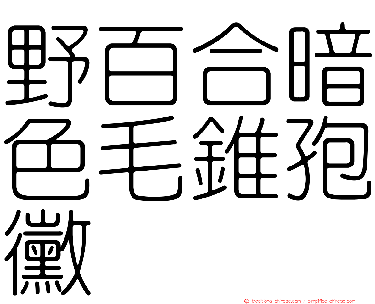 野百合暗色毛錐孢黴