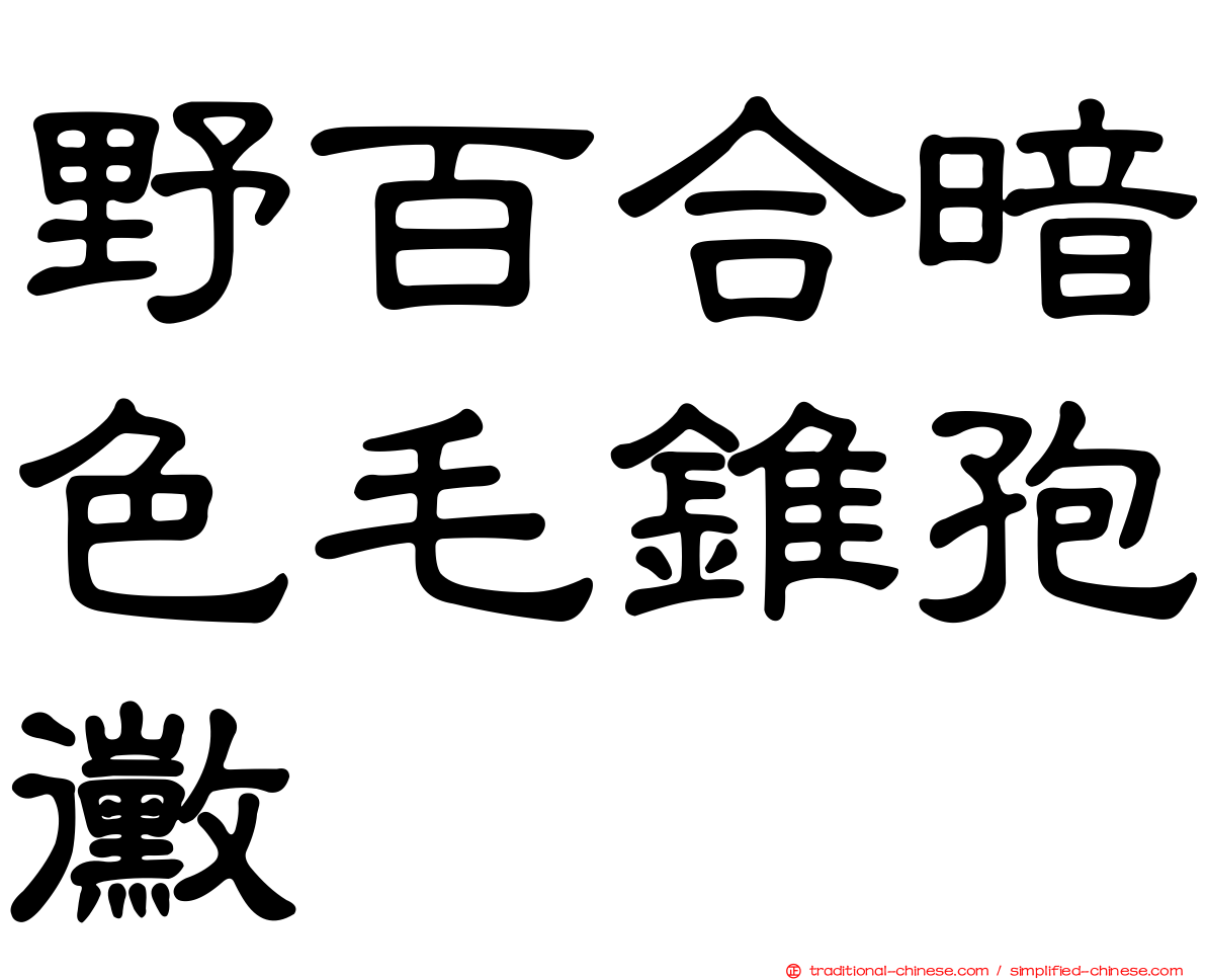 野百合暗色毛錐孢黴