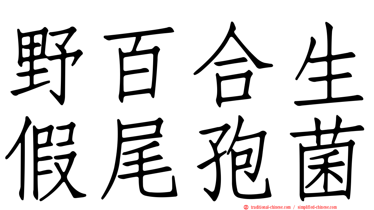野百合生假尾孢菌