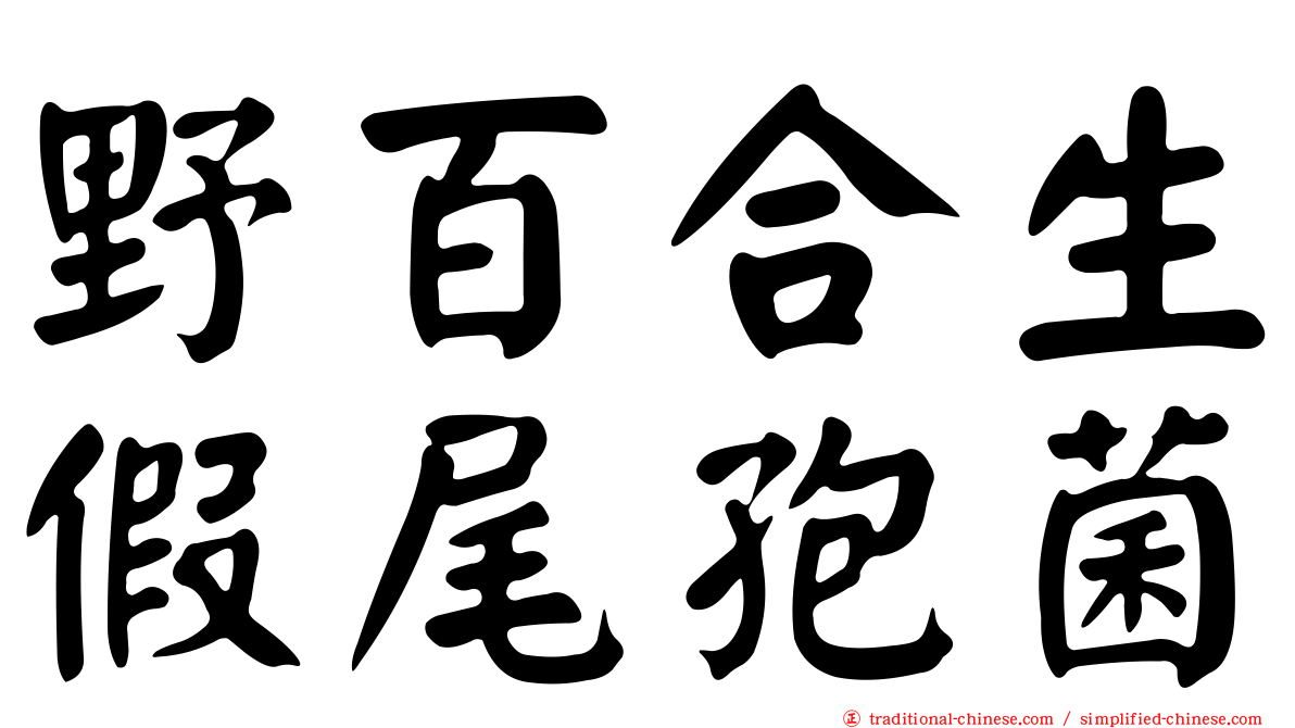 野百合生假尾孢菌