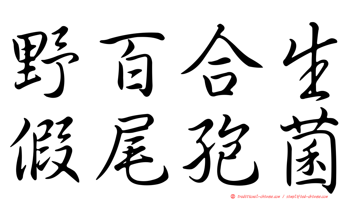 野百合生假尾孢菌