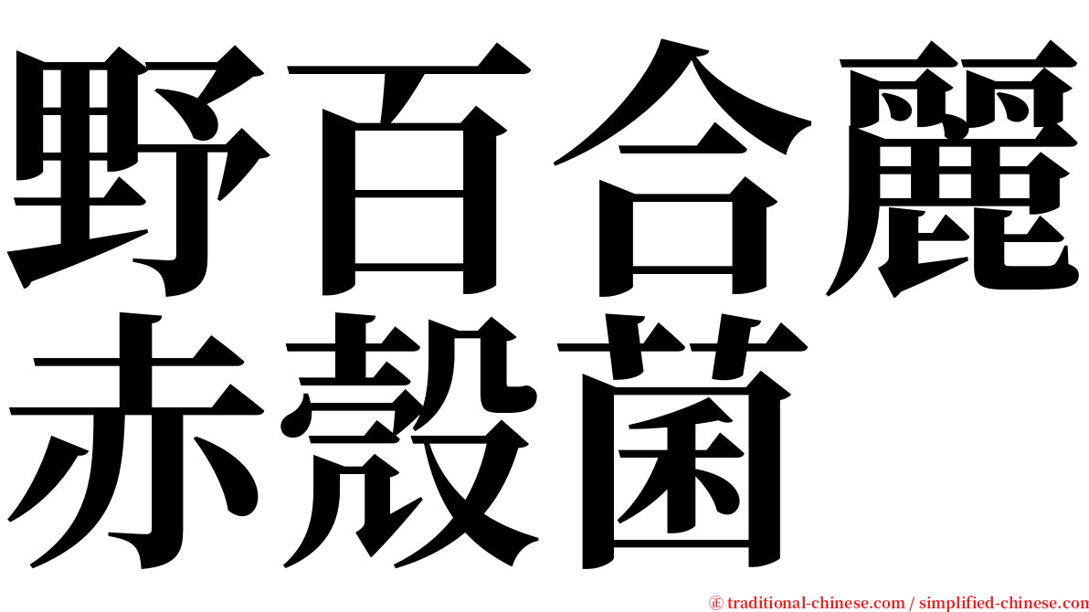 野百合麗赤殼菌 serif font