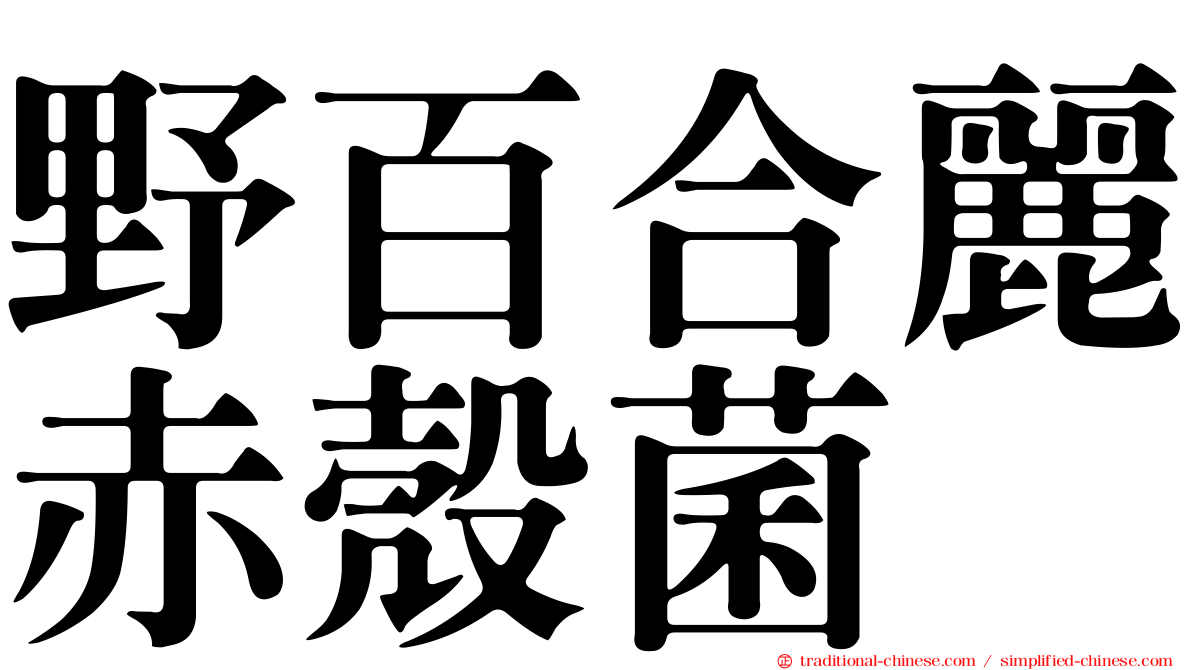 野百合麗赤殼菌