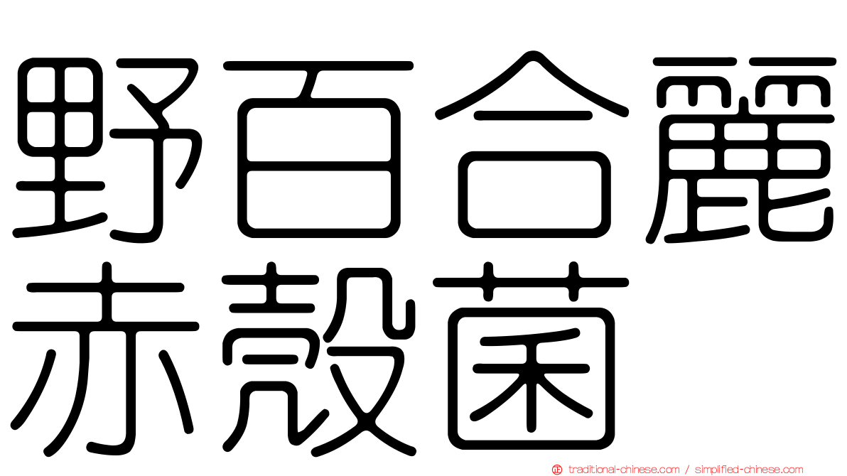 野百合麗赤殼菌