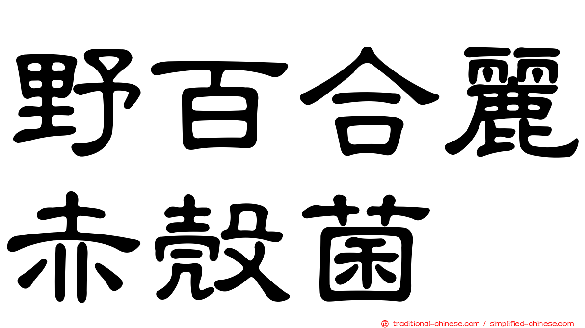 野百合麗赤殼菌