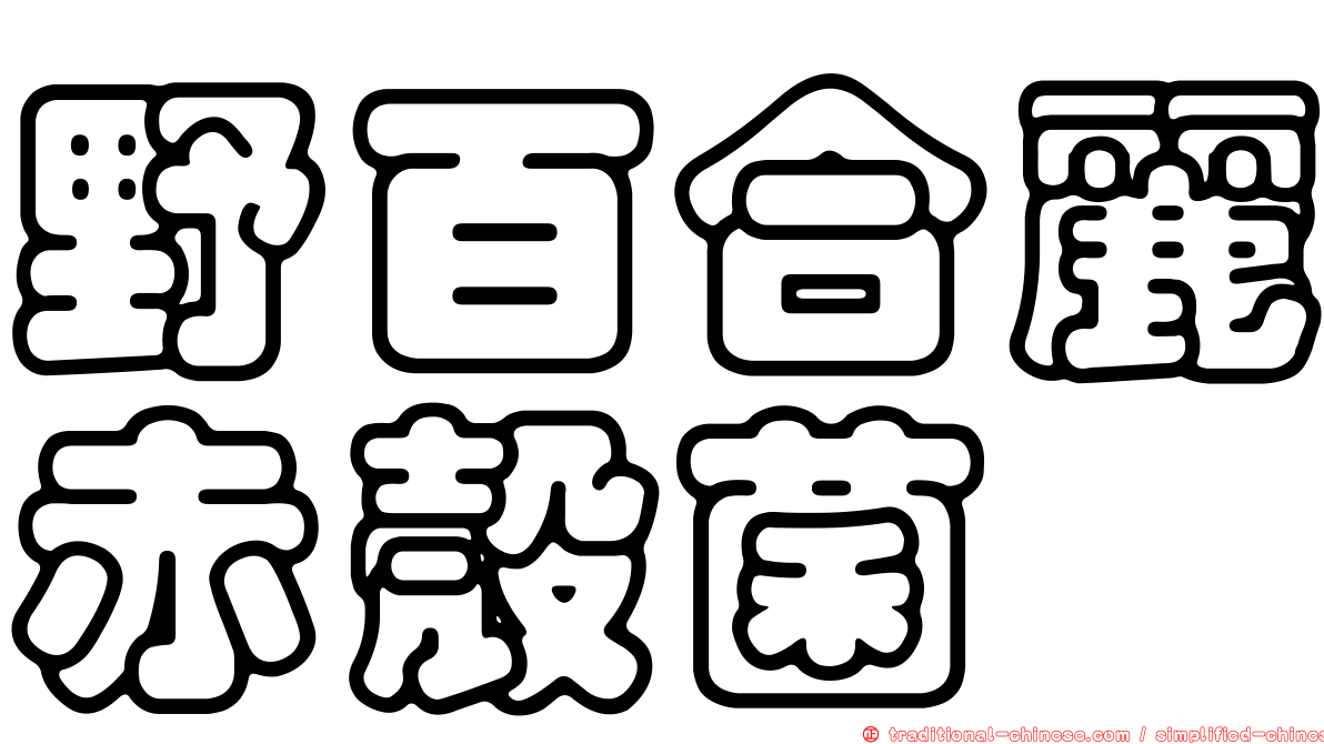 野百合麗赤殼菌