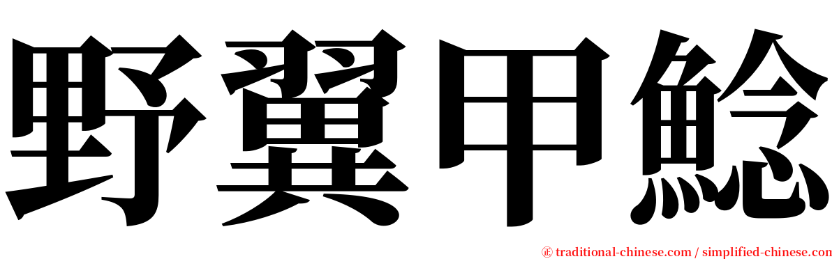 野翼甲鯰 serif font