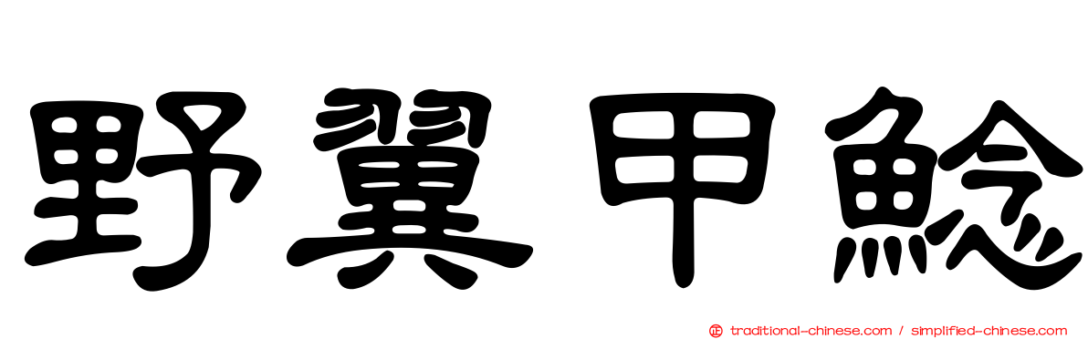 野翼甲鯰