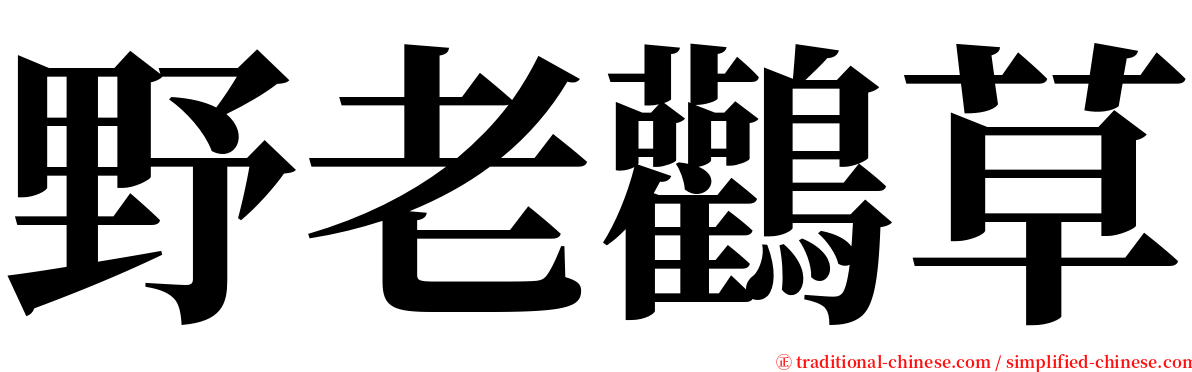 野老鸛草 serif font