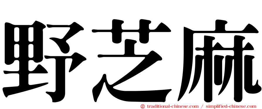 野芝麻