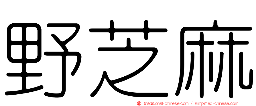 野芝麻