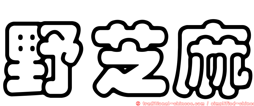 野芝麻