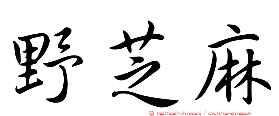 野芝麻