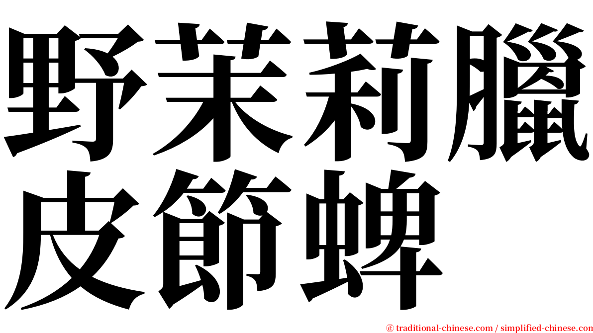 野茉莉臘皮節蜱 serif font