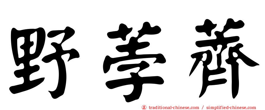 野荸薺