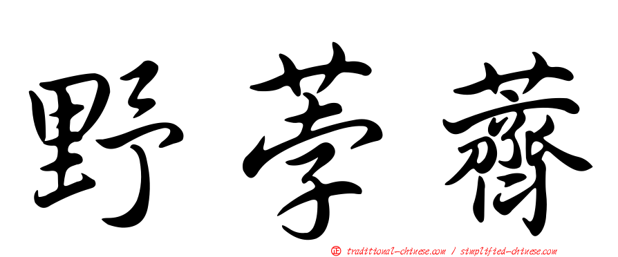 野荸薺