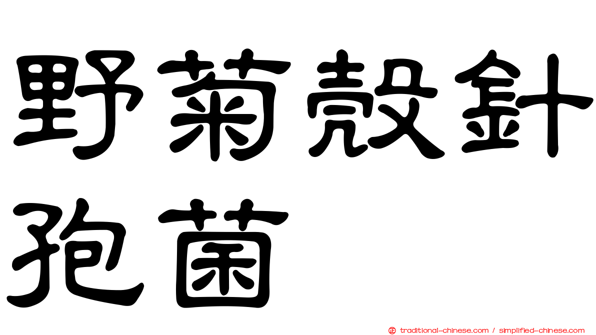 野菊殼針孢菌