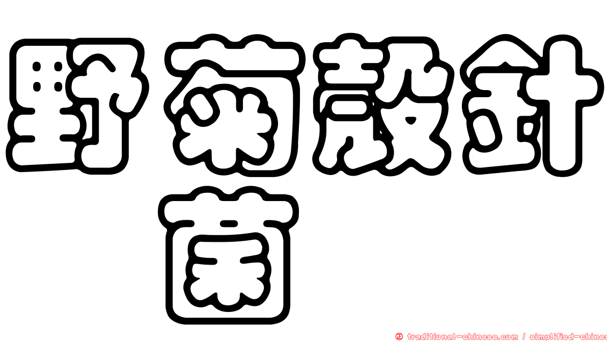 野菊殼針孢菌