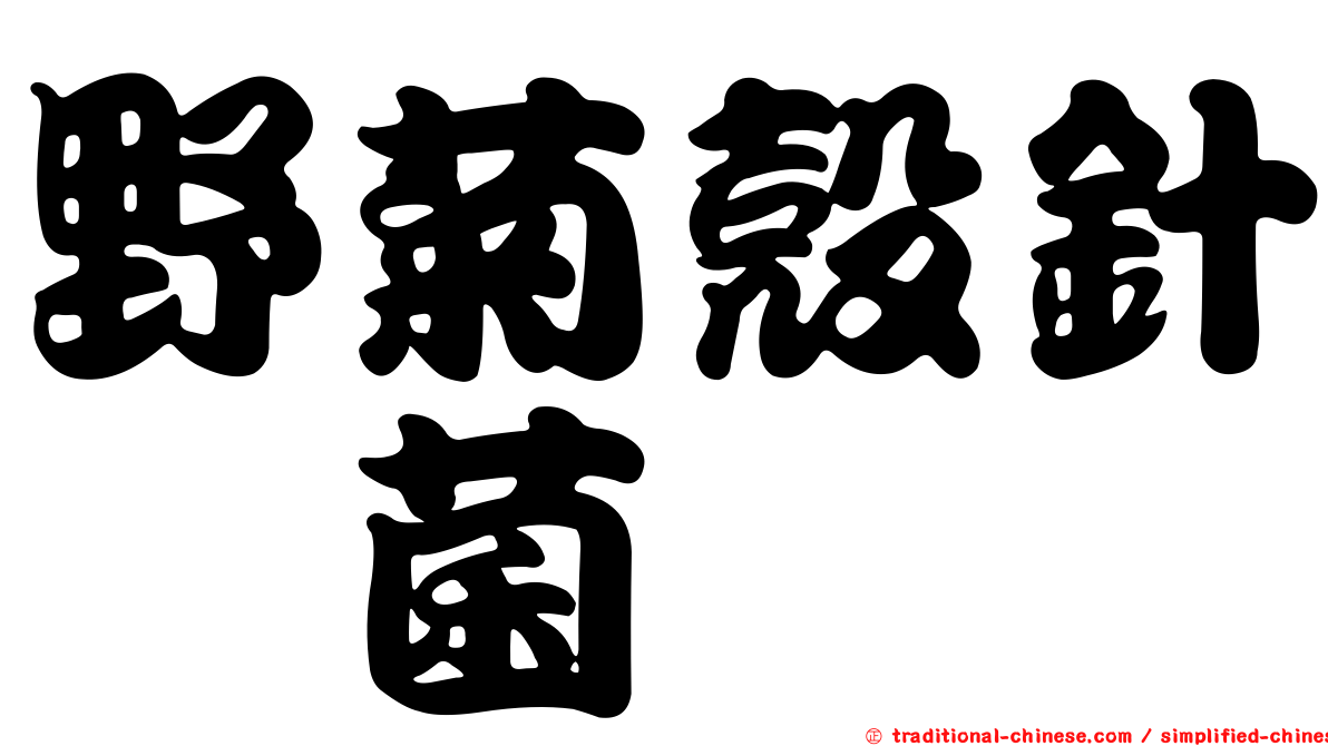 野菊殼針孢菌