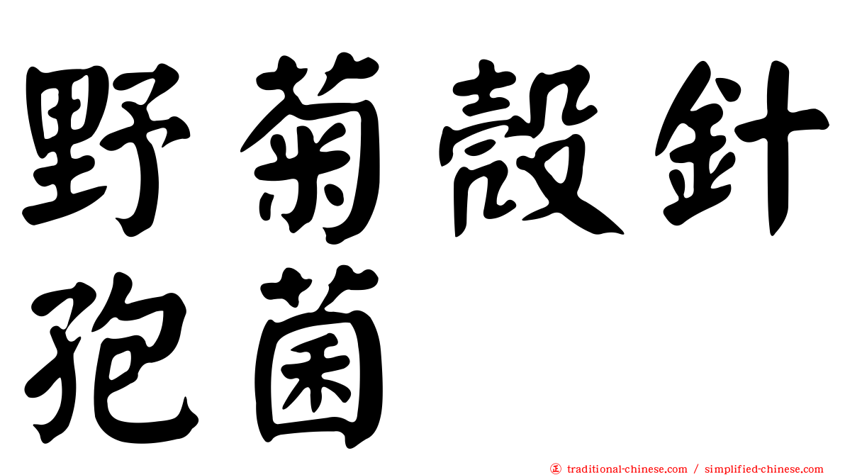 野菊殼針孢菌